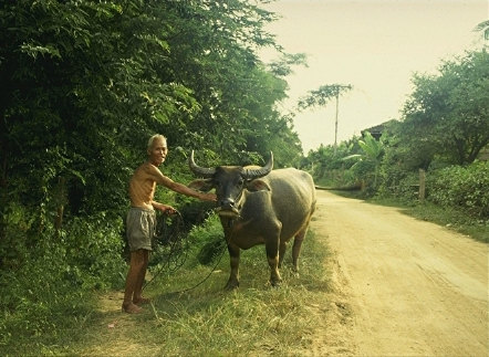 Farmer w/ Buffalo
