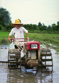Iron Buffalo in Pah Leurat